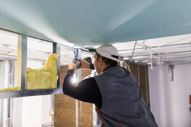 Best Residential Insulation in Madisonville, KY